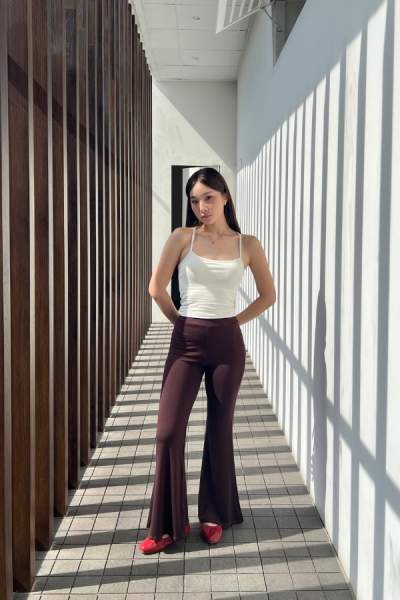 Noya Pants Petite - Brown - Brown